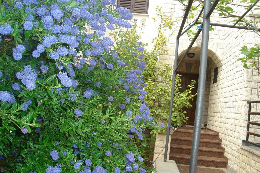Apartments Sasha PUY 객실 사진